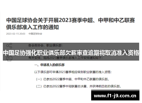 中国足协强化职业俱乐部欠薪审查逾期将取消准入资格 中国足协强化职业俱乐部欠薪审查逾期将取消准入资格