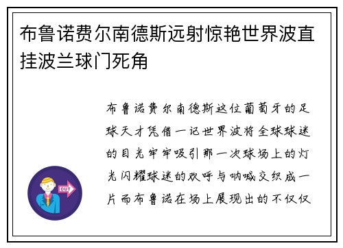 布鲁诺费尔南德斯远射惊艳世界波直挂波兰球门死角