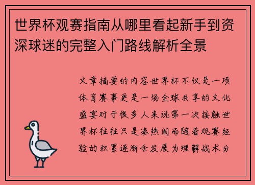 世界杯观赛指南从哪里看起新手到资深球迷的完整入门路线解析全景